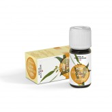 Eikalipta ēteriskā eļļa